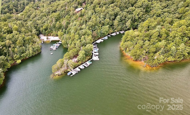 bird's eye view with a water view and a forest view