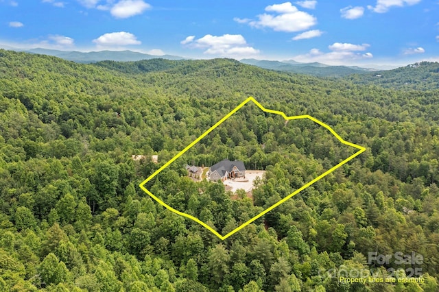 5360 Low Country Rd, Lenoir, NC 28645 - aerial view of property's location with a forest, property boundaries highlighted, and a mountainous background