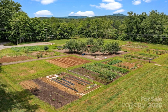 5360 Low Country Rd, Lenoir, NC 28645 - aerial view of sparsely populated area