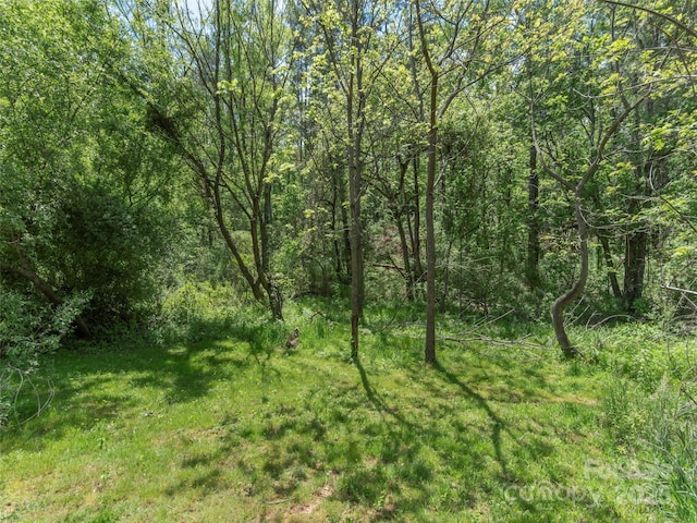 64 Alexander Rd Unit 4, Weaverville, NC 28787