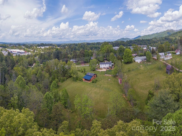64 Alexander Rd Unit 4, Weaverville, NC 28787