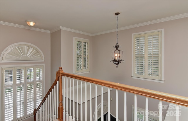 1142 Ardwyck Pl Unit 5, Rock Hill, SC 29730 - hall with crown molding, a chandelier, and an upstairs landing