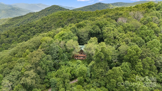 birds eye view of property featuring a view of trees and a mountain view