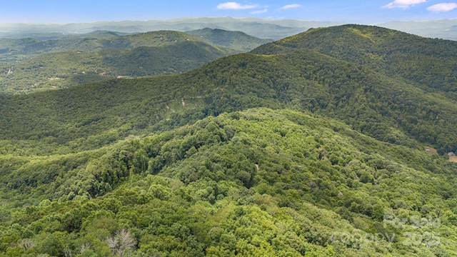 mountain view featuring a forest view