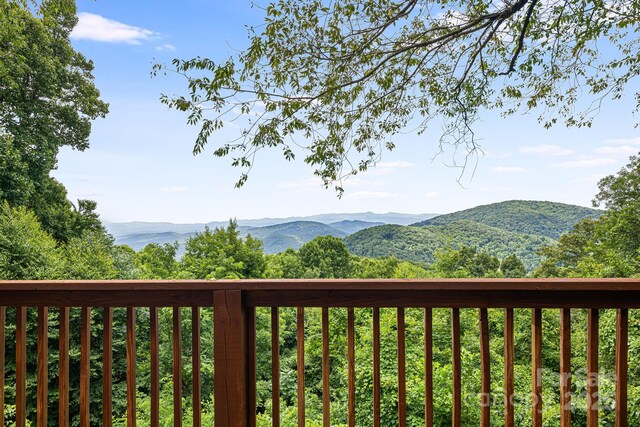 75 Donica Vw, Swannanoa, NC 28778 - photo 6