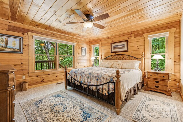 75 Donica Vw, Swannanoa, NC 28778 - photo 27