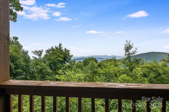 75 Donica Vw, Swannanoa, NC 28778 - photo 38