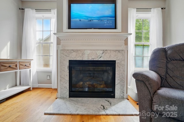 room details with baseboards, wood finished floors, and a fireplace
