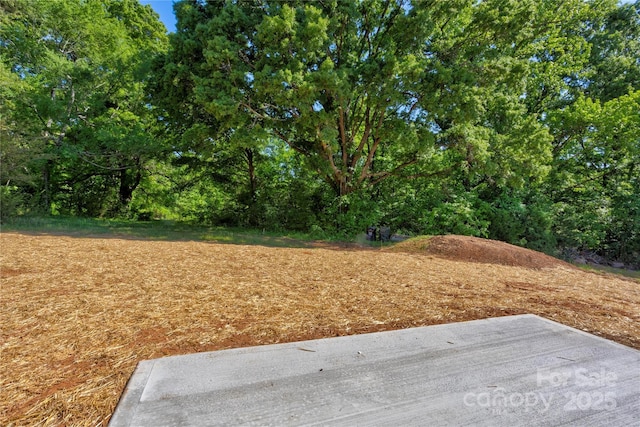 view of yard featuring a patio area