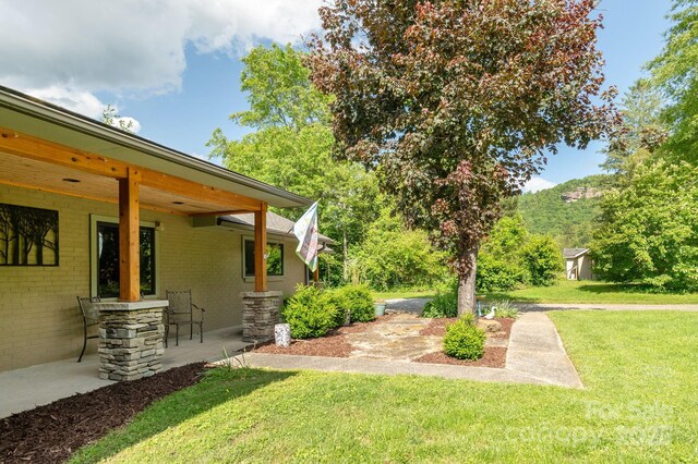 4329 Island Ford Rd, Brevard, NC 28712 - view of green lawn