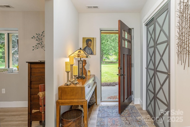 4329 Island Ford Rd, Brevard, NC 28712 - foyer entrance with light wood-type flooring, healthy amount of natural light, and baseboards