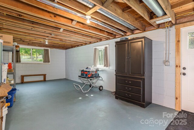 4329 Island Ford Rd, Brevard, NC 28712 - basement with concrete block wall