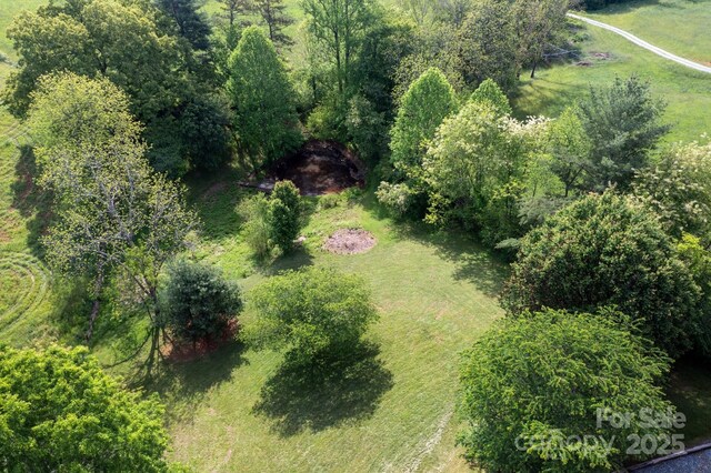 1572 Alexander Rd, Leicester, NC 28748 - bird's eye view