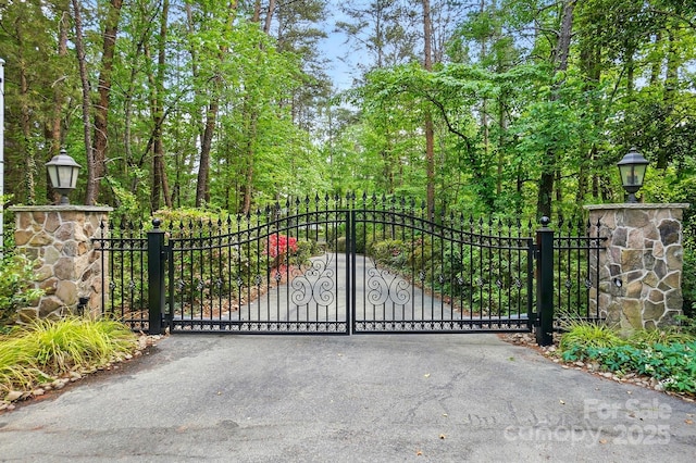 115 Forestcliff Ct NE, Concord, NC 28025 - view of gate