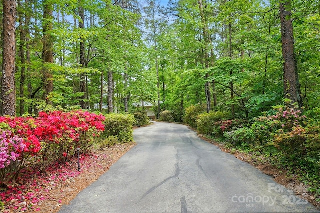 115 Forestcliff Ct NE, Concord, NC 28025 - view of asphalt driveway featuring a view of trees