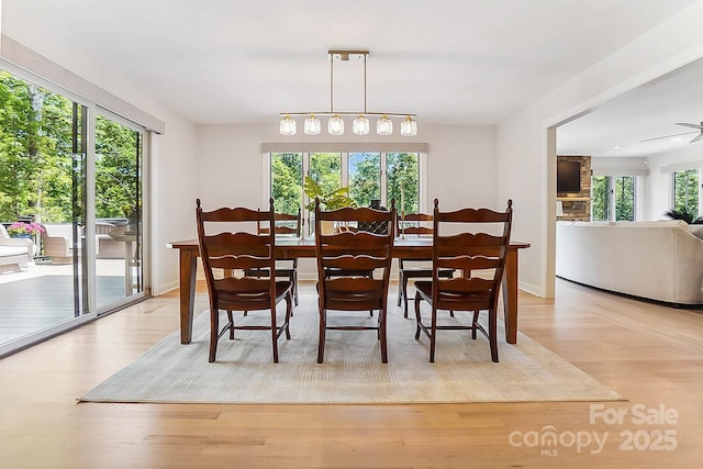 115 Forestcliff Ct NE, Concord, NC 28025 - dining space with plenty of natural light, light wood-style floors, and baseboards