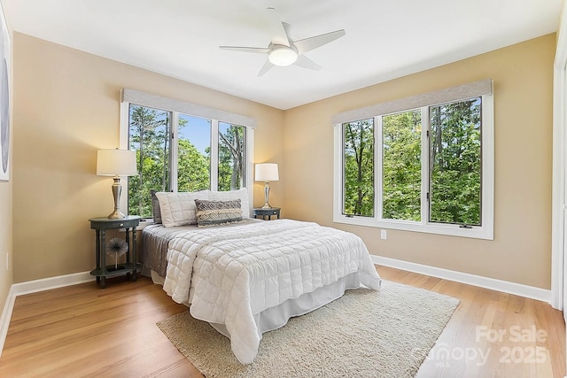 115 Forestcliff Ct NE, Concord, NC 28025 - bedroom with baseboards, light wood-type flooring, and a ceiling fan