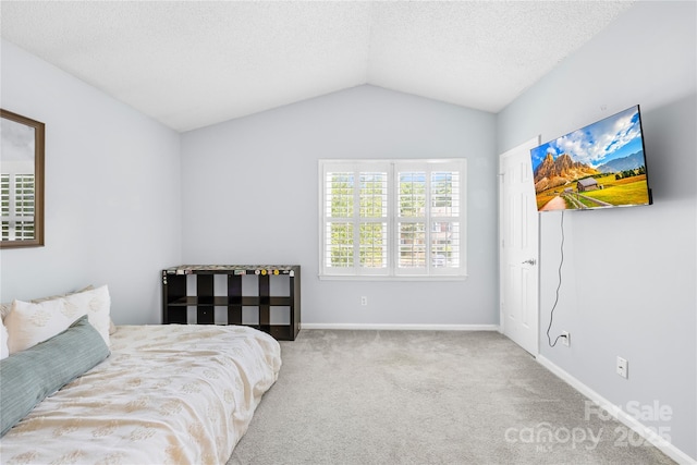 9214 N Vicksburg Park Ct, Charlotte, NC 28210 - carpeted bedroom featuring baseboards, a textured ceiling, and lofted ceiling