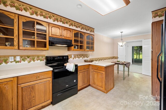 1152 Bent Tree Dr Unit F2Garage, Hendersonville, NC 28739 - kitchen featuring black appliances, under cabinet range hood, a peninsula, brown cabinets, and light countertops