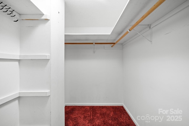 1152 Bent Tree Dr Unit F2Garage, Hendersonville, NC 28739 - walk in closet with carpet