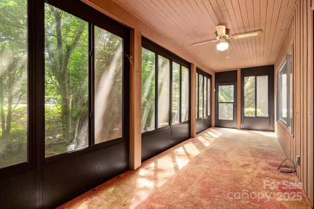 1152 Bent Tree Dr Unit F2Garage, Hendersonville, NC 28739 - unfurnished sunroom with ceiling fan