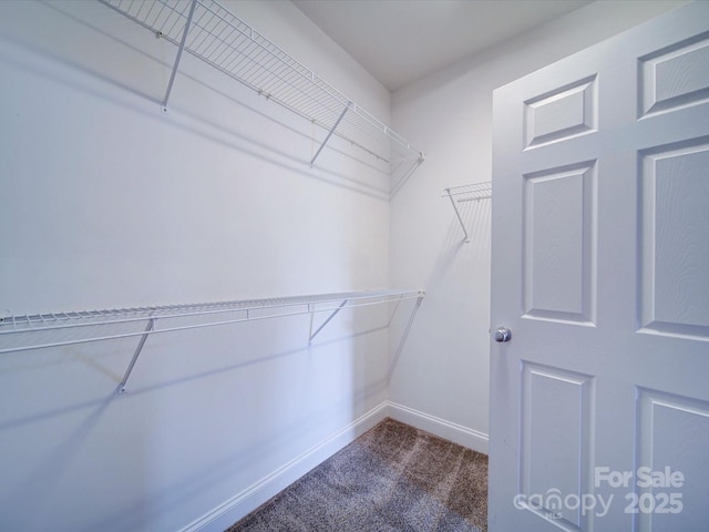 1000 E Woodlawn Rd Unit 402, Charlotte, NC 28209 - walk in closet featuring dark colored carpet