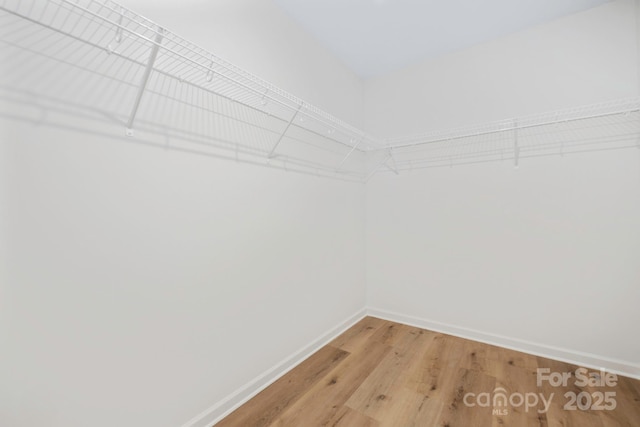 walk in closet featuring light wood-style floors