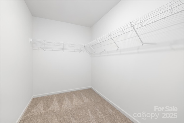 8717 Lawyers Rd, Charlotte, NC 28227 - photo 19