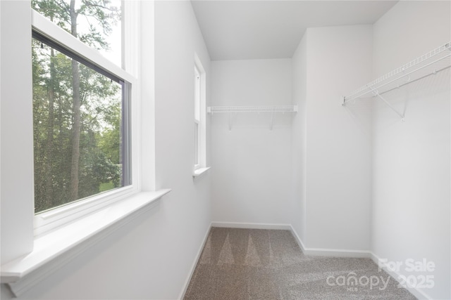 8717 Lawyers Rd, Charlotte, NC 28227 - photo 20