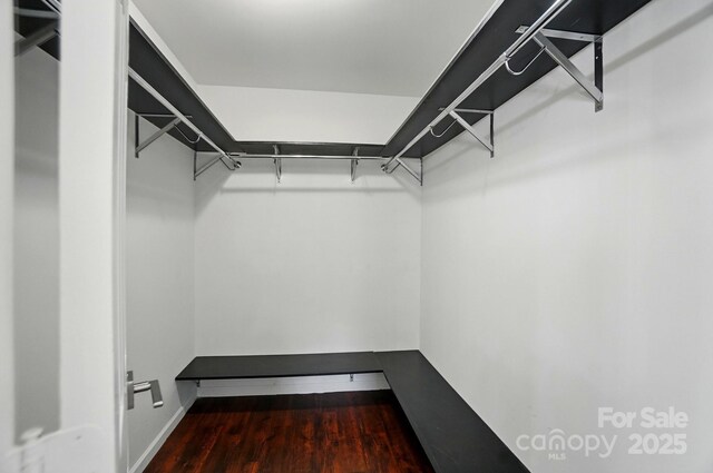 spacious closet with wood finished floors