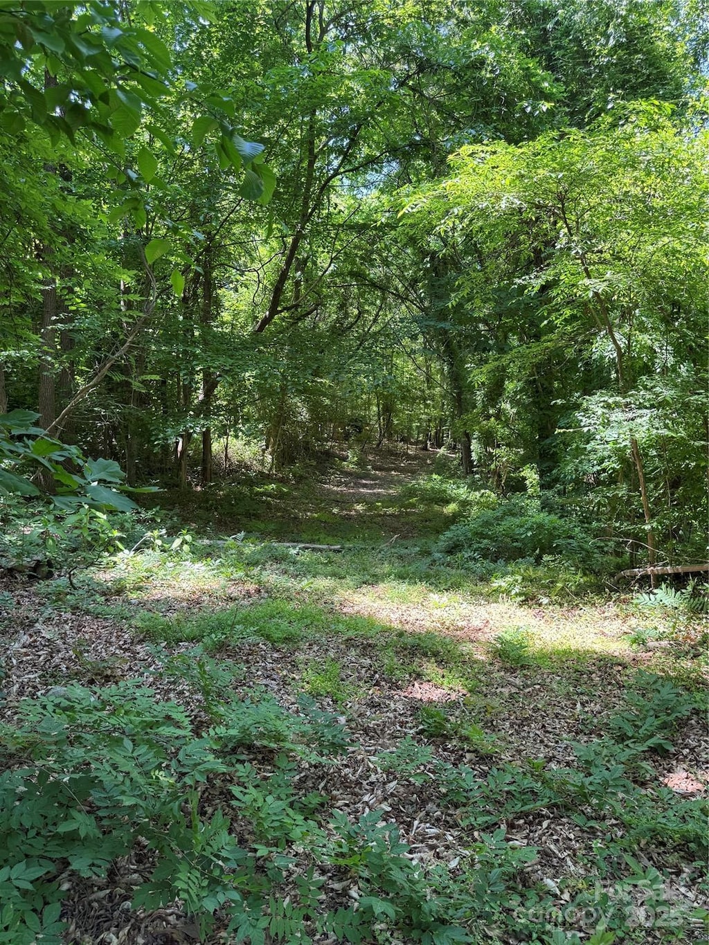 11341 Mooresville Rd, Davidson, NC 28036 - photo 1