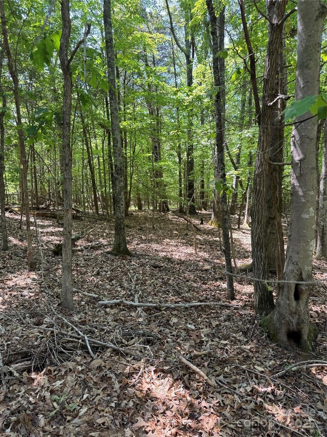 11355 Mooresville Rd, Davidson, NC 28036