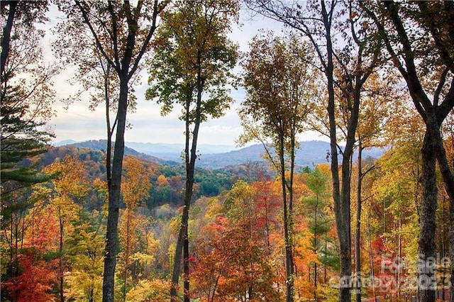 17 Franklin Trace Dr Unit 17, Asheville, NC 28804 - photo 7