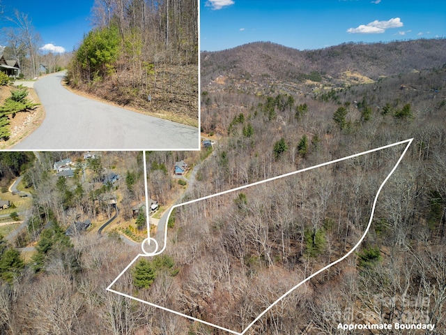17 Franklin Trace Dr Unit 17, Asheville, NC 28804 - photo 12