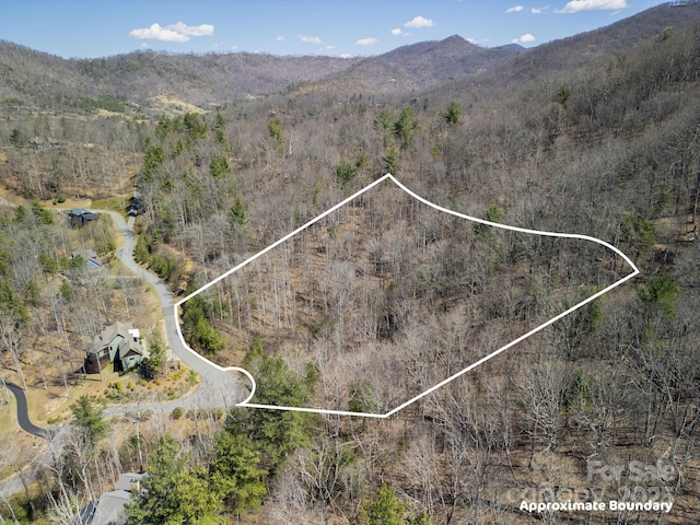 17 Franklin Trace Dr Unit 17, Asheville, NC 28804 - photo 14