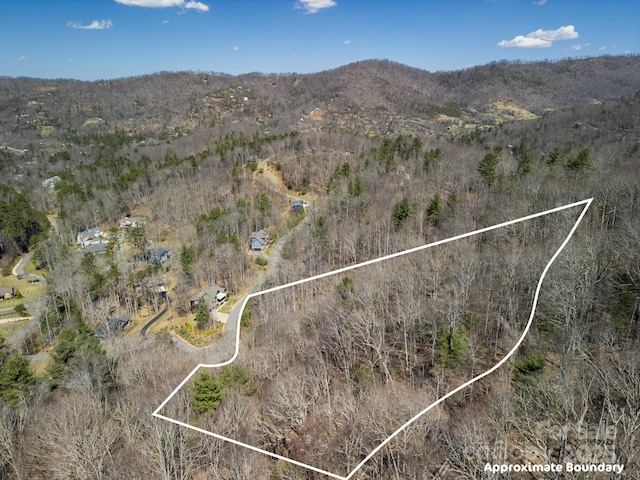 17 Franklin Trace Dr Unit 17, Asheville, NC 28804 - photo 15