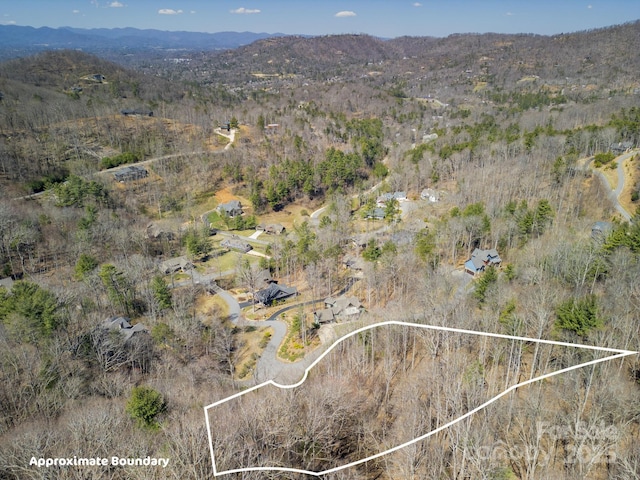 17 Franklin Trace Dr Unit 17, Asheville, NC 28804 - photo 16