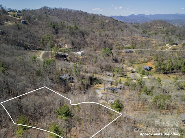 17 Franklin Trace Dr Unit 17, Asheville, NC 28804 - photo 17