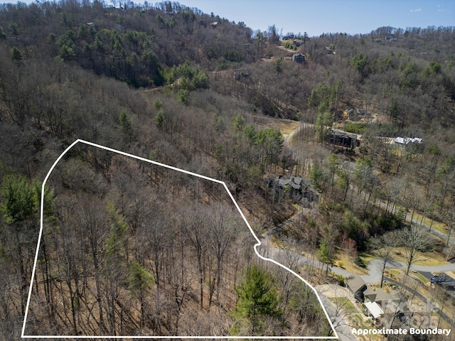 17 Franklin Trace Dr Unit 17, Asheville, NC 28804 - photo 18