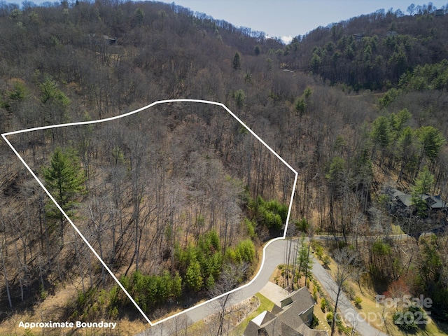 17 Franklin Trace Dr Unit 17, Asheville, NC 28804 - photo 19