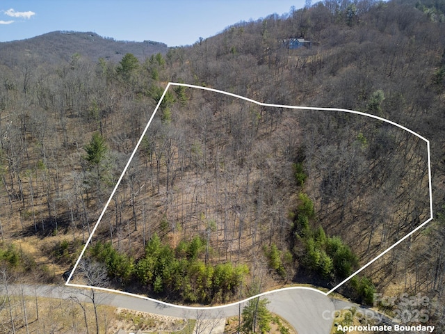 17 Franklin Trace Dr Unit 17, Asheville, NC 28804 - photo 20