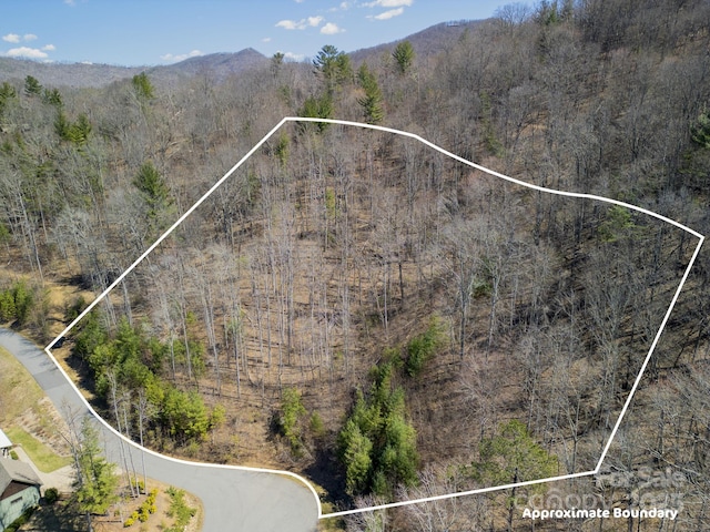 17 Franklin Trace Dr Unit 17, Asheville, NC 28804 - photo 21