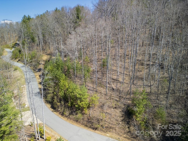 17 Franklin Trace Dr Unit 17, Asheville, NC 28804 - photo 22