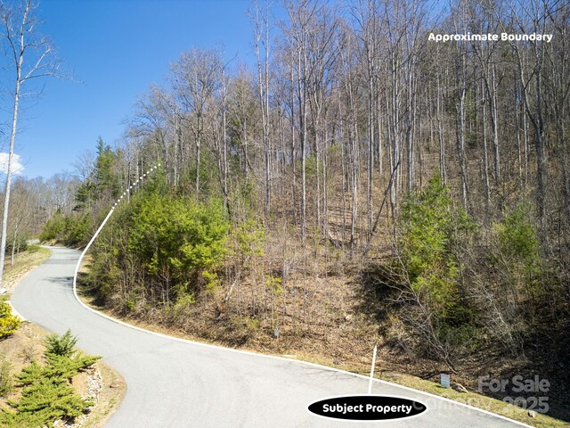 17 Franklin Trace Dr Unit 17, Asheville, NC 28804 - photo 23