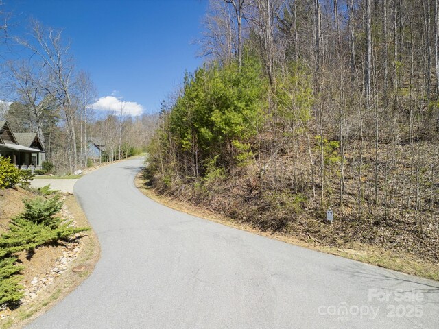 17 Franklin Trace Dr Unit 17, Asheville, NC 28804 - photo 24