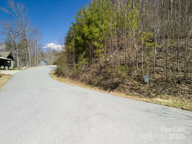 17 Franklin Trace Dr Unit 17, Asheville, NC 28804 - photo 25