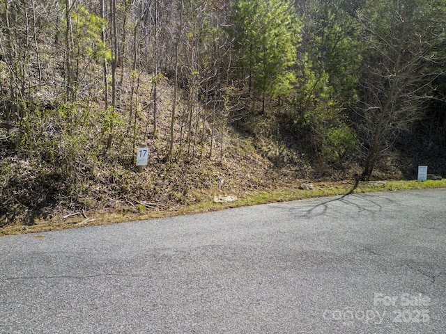 17 Franklin Trace Dr Unit 17, Asheville, NC 28804 - photo 27