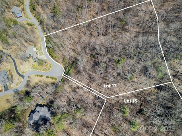 17 Franklin Trace Dr Unit 17, Asheville, NC 28804 - photo 29