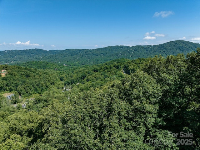 17 Franklin Trace Dr Unit 17, Asheville, NC 28804 - photo 30