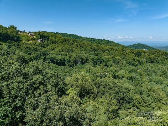 17 Franklin Trace Dr Unit 17, Asheville, NC 28804 - photo 31